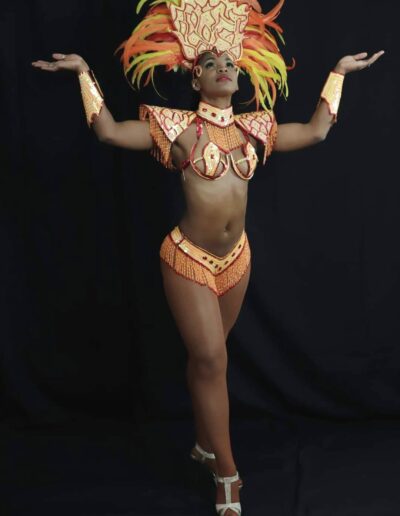 Danse brésilienne